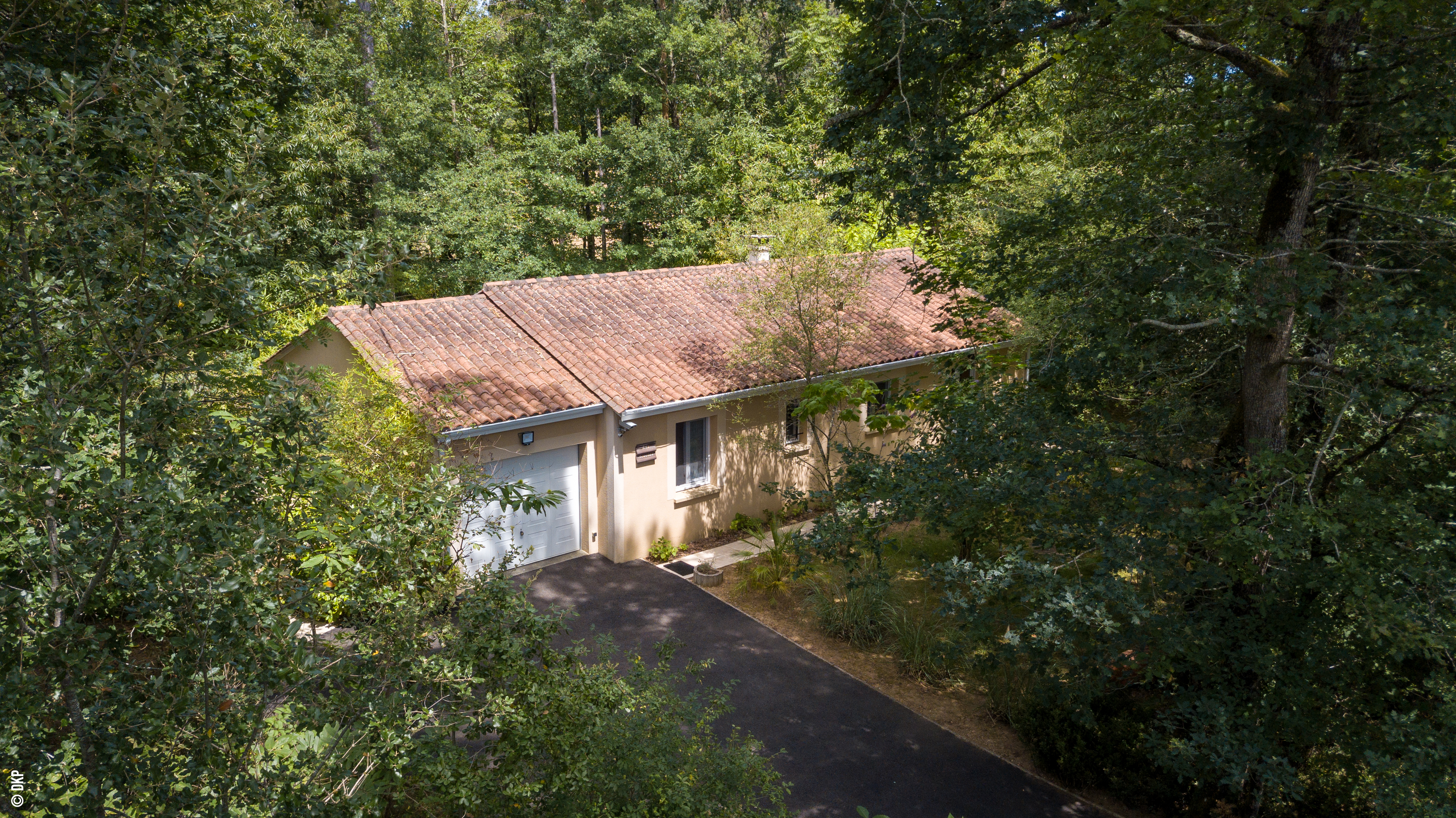 Top front view with driveway